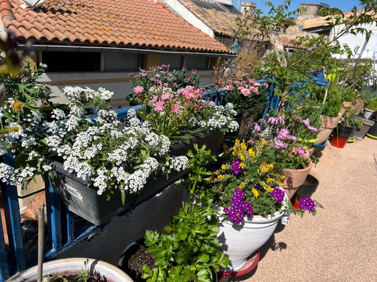 Loft , La Terrasse Centre D'arles, Bed & Breakfast 2*